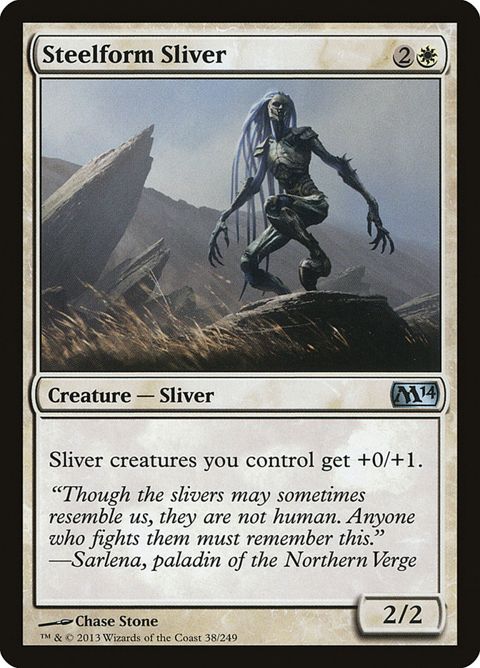 38-steelformsliver.jpg