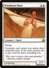 38-windbornmuse.jpg