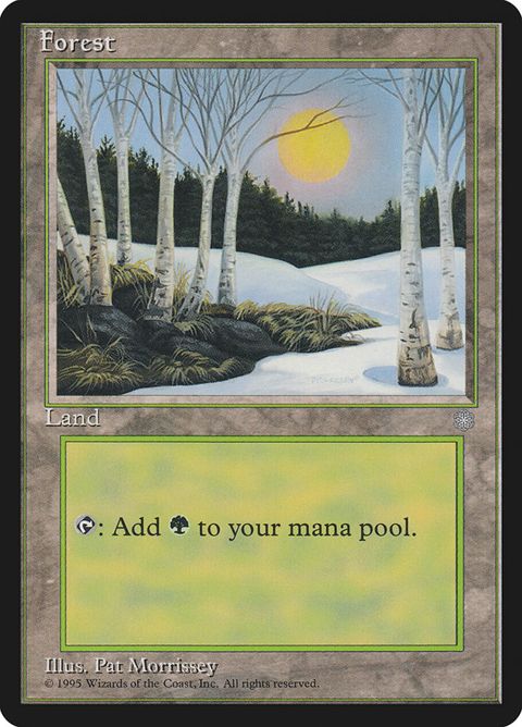 380-forest.jpg