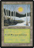 380-forest.jpg