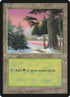 381-forest.jpg