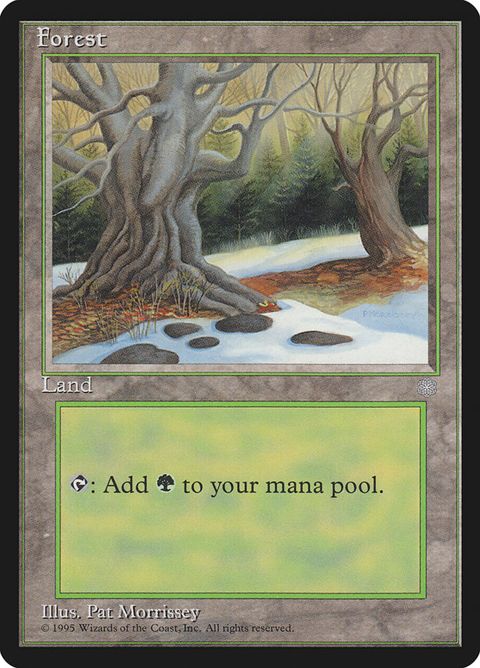 382-forest.jpg