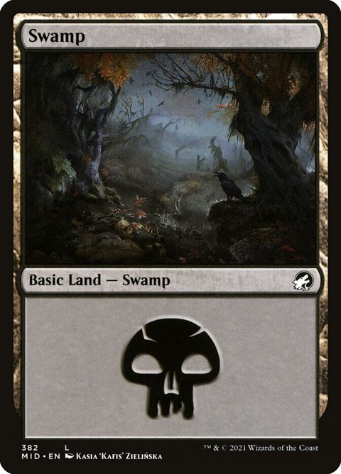 382-swamp.jpg