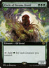 383-circleofdreamsdruid.jpg