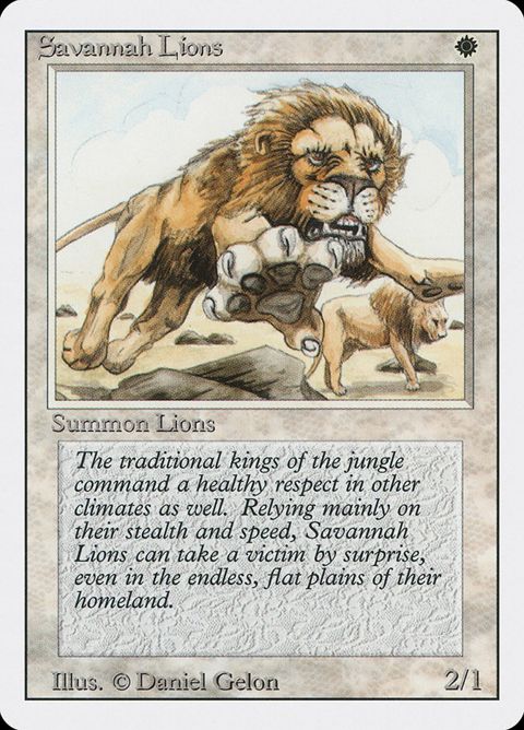 39-savannahlions.jpg