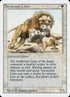39-savannahlions.jpg