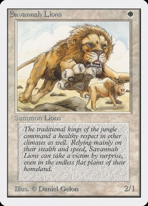39-savannahlions.jpg