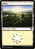 394-plains.jpg