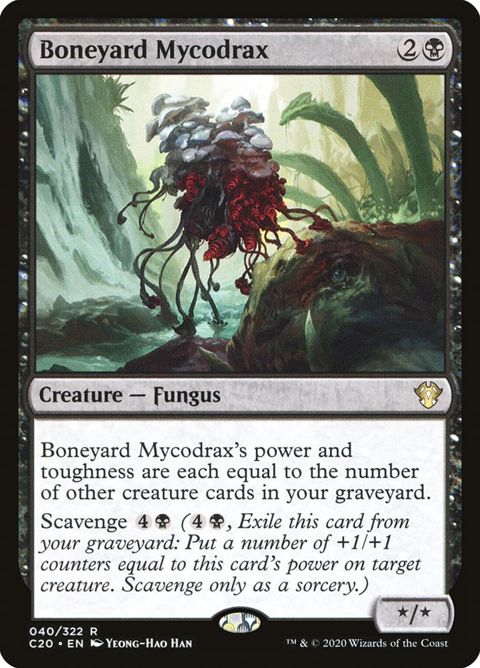 40-boneyardmycodrax.jpg