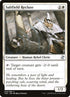 40-saltfieldrecluse.jpg