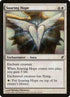 40-soaringhope.jpg