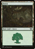 402-forest.jpg