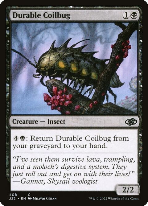 408-durablecoilbug.jpg