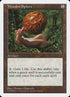 409-woodensphere.jpg