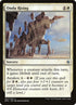 41-ondurising.jpg