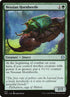 413-nessianhornbeetle.jpg