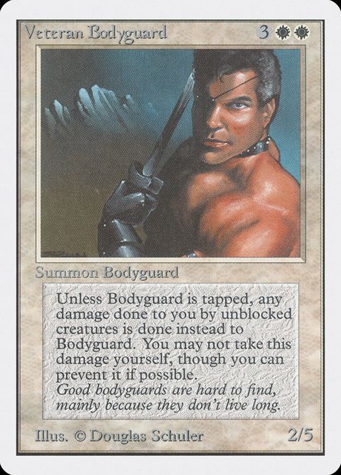 42-veteranbodyguard.jpg