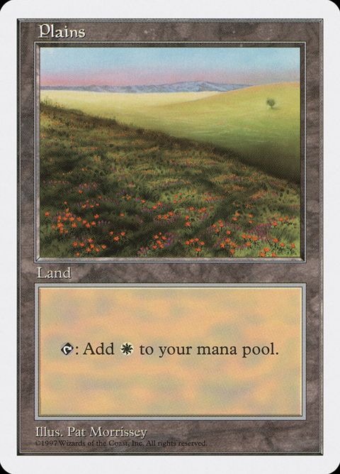 431-plains.jpg