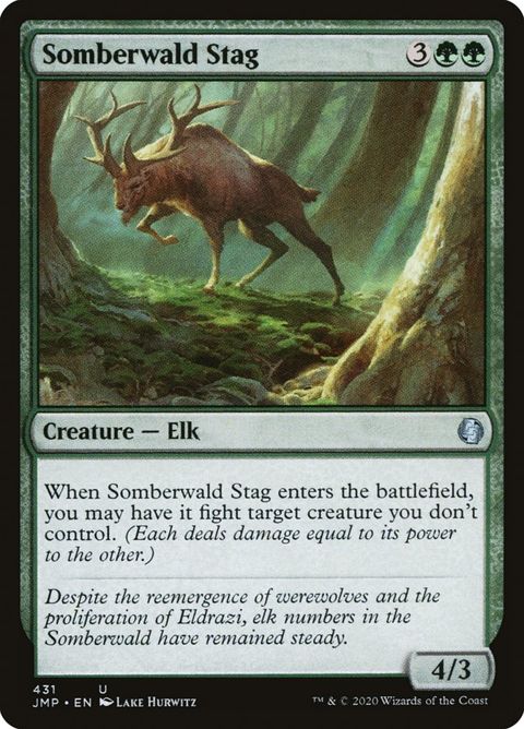 431-somberwaldstag.jpg