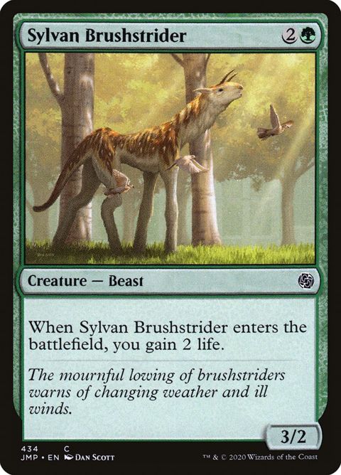 434-sylvanbrushstrider.jpg