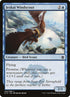 44-jeskaiwindscout.jpg