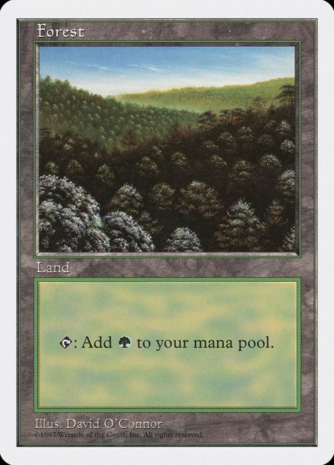 446-forest.jpg