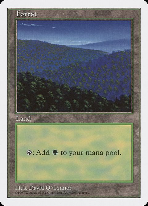 447-forest.jpg