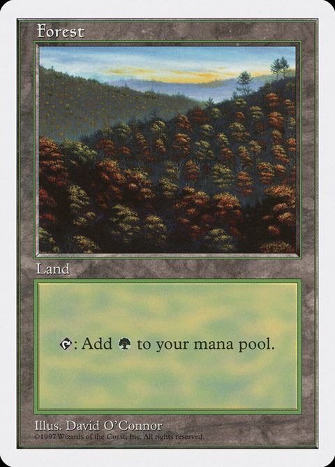 448-forest.jpg