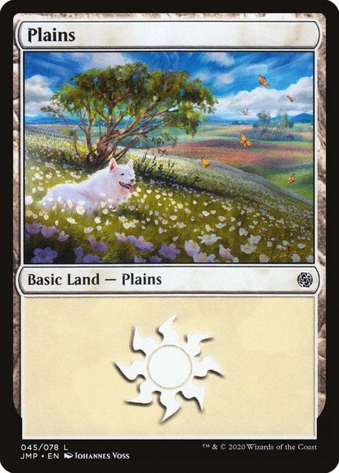 45-plains.jpg