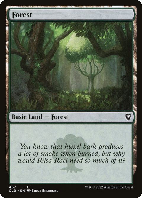 467-forest.jpg