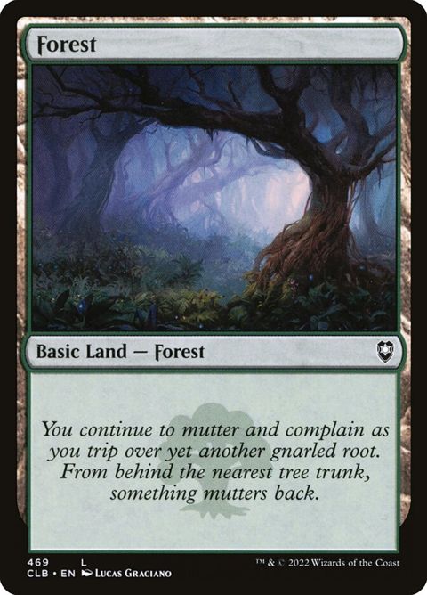 469-forest.jpg