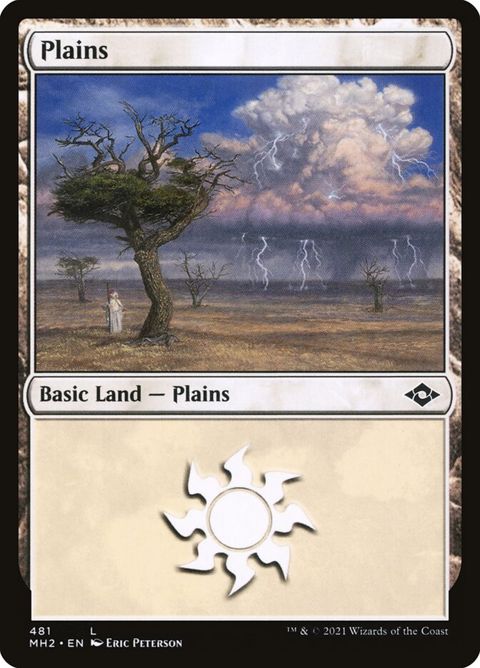 481-plains.jpg