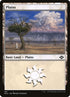 481-plains.jpg