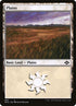 482-plains.jpg