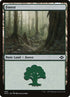 489-forest.jpg