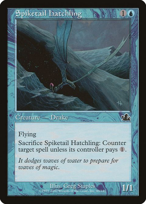49-spiketailhatchling.jpg