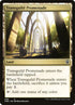 499-transguildpromenade.jpg