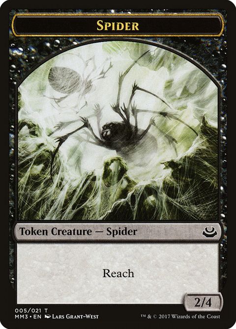 5-spider.jpg