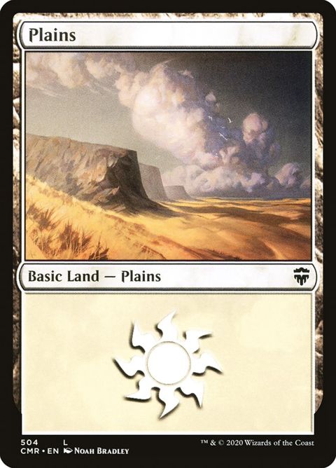 504-plains.jpg