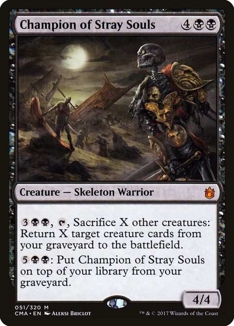 51-championofstraysouls.jpg