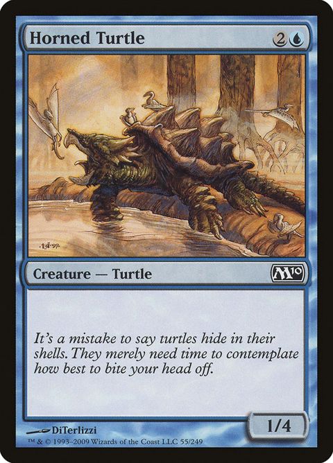 55-hornedturtle.jpg