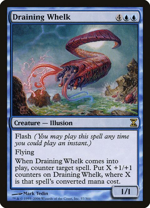 57-drainingwhelk.jpg
