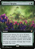 589-jaheirasrespite.jpg