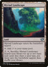 61-myriadlandscape.jpg