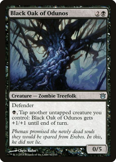 62-blackoakofodunos.jpg