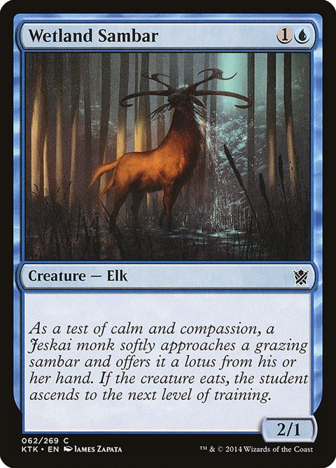 62-wetlandsambar.jpg