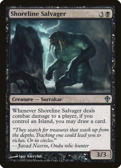 67-shorelinesalvager.jpg