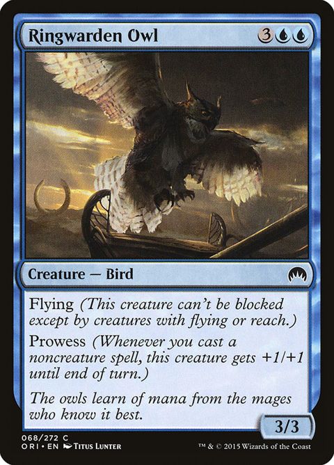 68-ringwardenowl.jpg