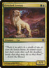 69-grizzledleotau.jpg