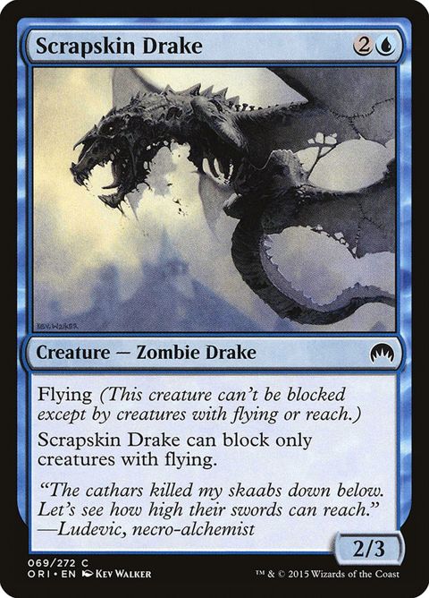 69-scrapskindrake.jpg